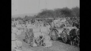 Link to Video | black and white