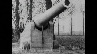 Link to Video | black and white