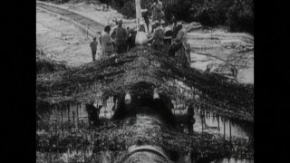 Link to Video | black and white