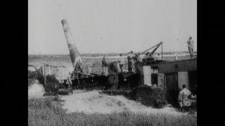 Link to Video | black and white