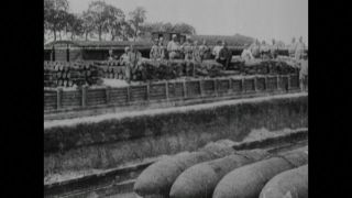 Link to Video | black and white