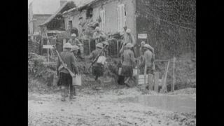 Link to Video | black and white