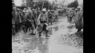 Link to Video | black and white