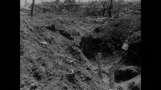 Link to Video | black and white