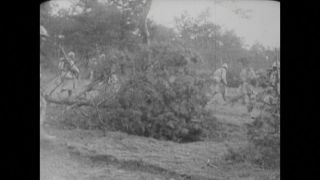 Link to Video | black and white