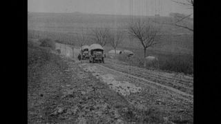 Link to Video | black and white