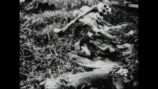 Link to Video | black and white