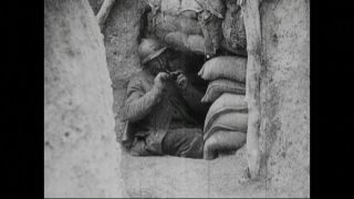 Link to Video | black and white