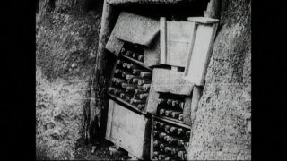 Link to Video | black and white