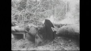 Link to Video | black and white