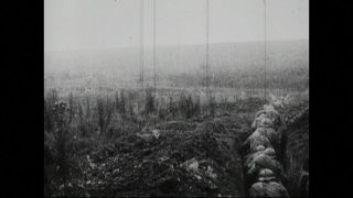 Link to Video | black and white