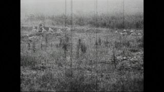 Link to Video | black and white