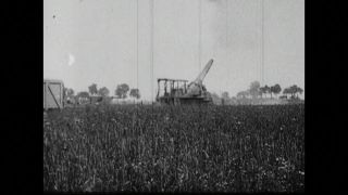 Link to Video | black and white