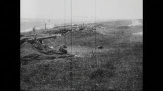 Link to Video | black and white