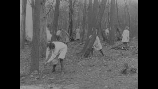 Link to Video | women's rights, emancipation, feminism, black and white
