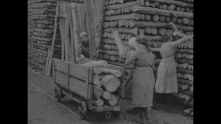 Link to Video | women's rights, emancipation, feminism, black and white
