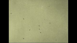 Link to Video | Full High Definition