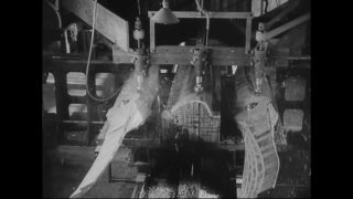 Link to Video | airplane with propellers, Elizabeth, New Jersey, aircraft construction, 1917, military aircraft, United States of America, manufactory, Plainfield, production, Standard Aircraft Corporation, black and white, aerospace manufacturer