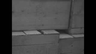 Link to Video
