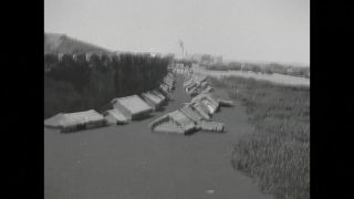 Link to Video