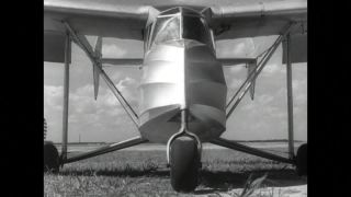 Link to Video