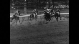Link to Video | black-and-white photography
