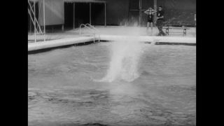 Link to Video | black-and-white photography