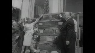 Link to Video | United States of America, Hollywood, Los Angeles, California