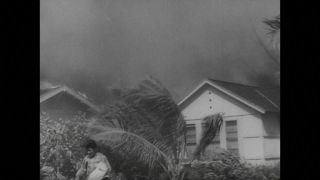 Link to Video | Pearl Harbor, naval base, historical event, Pacific War, harbor, warship, World War II, 1941 in the United States, navy, military personnel, aerial warfare, Attack on Pearl Harbor