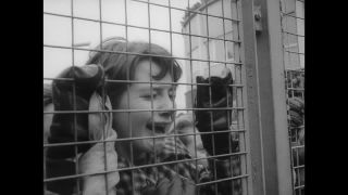 Link to Video | The Beatles, moptop, Beatlemania
