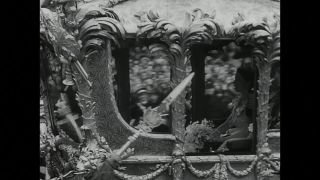 Link to Video