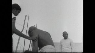 Link to Video