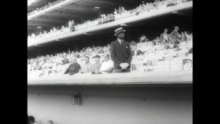 Link to Video | United States of America, Hollywood, Los Angeles, California