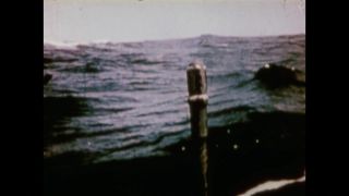Link to Video