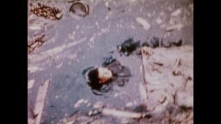 Link to Video