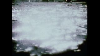 Link to Video
