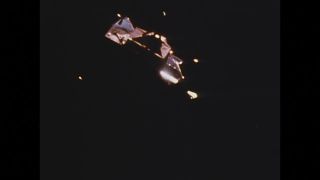 Link to Video