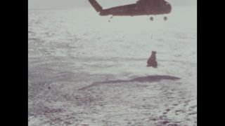 Link to Video