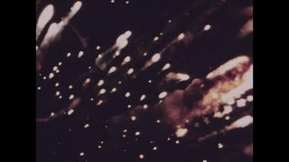 Link to Video | color