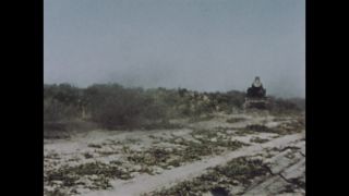 Link to Video | color