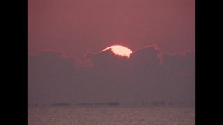 Link to Video