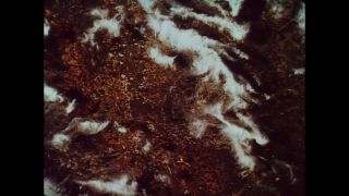 Link to Video | 1960s