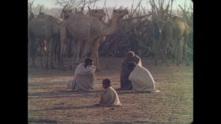 Link to Video | color, 1960s