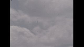 Link to Video