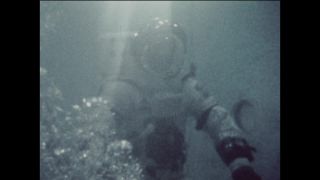 Link to Video