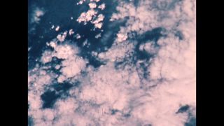Link to Video