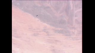 Link to Video