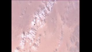 Link to Video