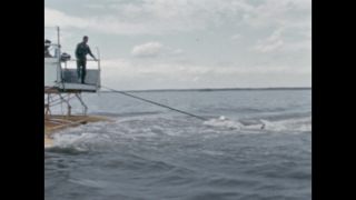 Link to Video