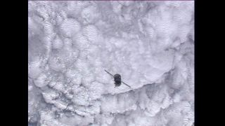Link to Video